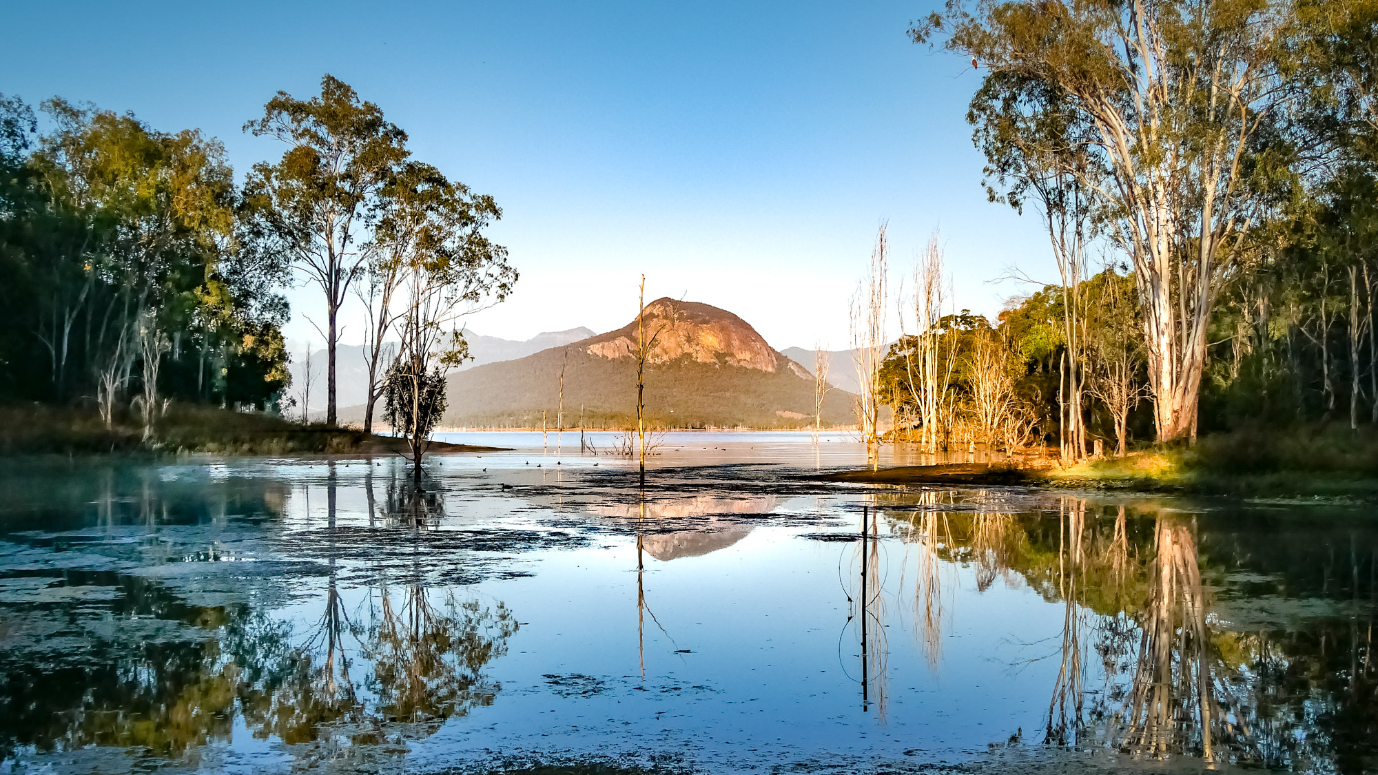 Panasonic Lumix DMC-GX85 (Lumix DMC-GX80 / Lumix DMC-GX7 Mark II) sample photo. Moogerah & greville photography