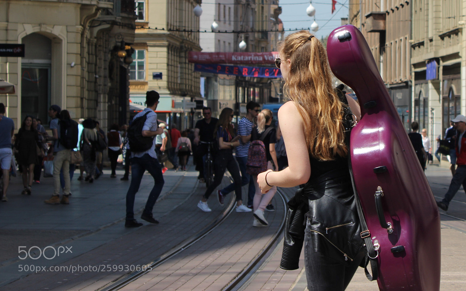 Canon EOS 600D (Rebel EOS T3i / EOS Kiss X5) sample photo. Leather & cello photography