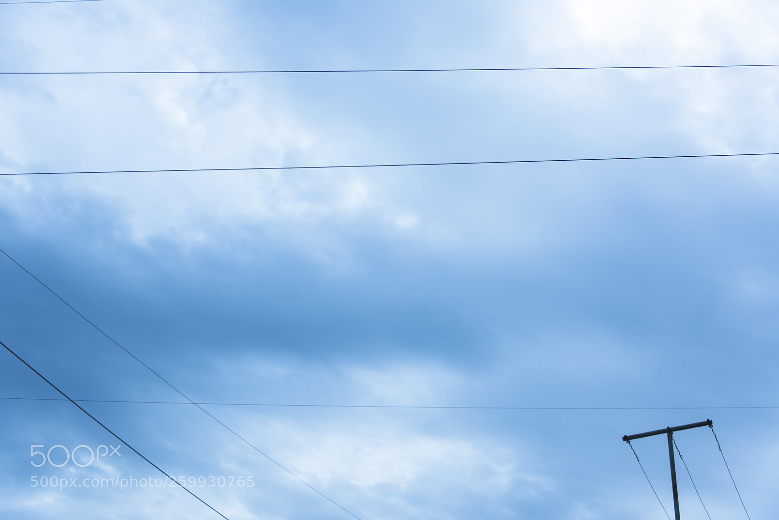 Nikon D810 sample photo. Lookup  no.10 photography