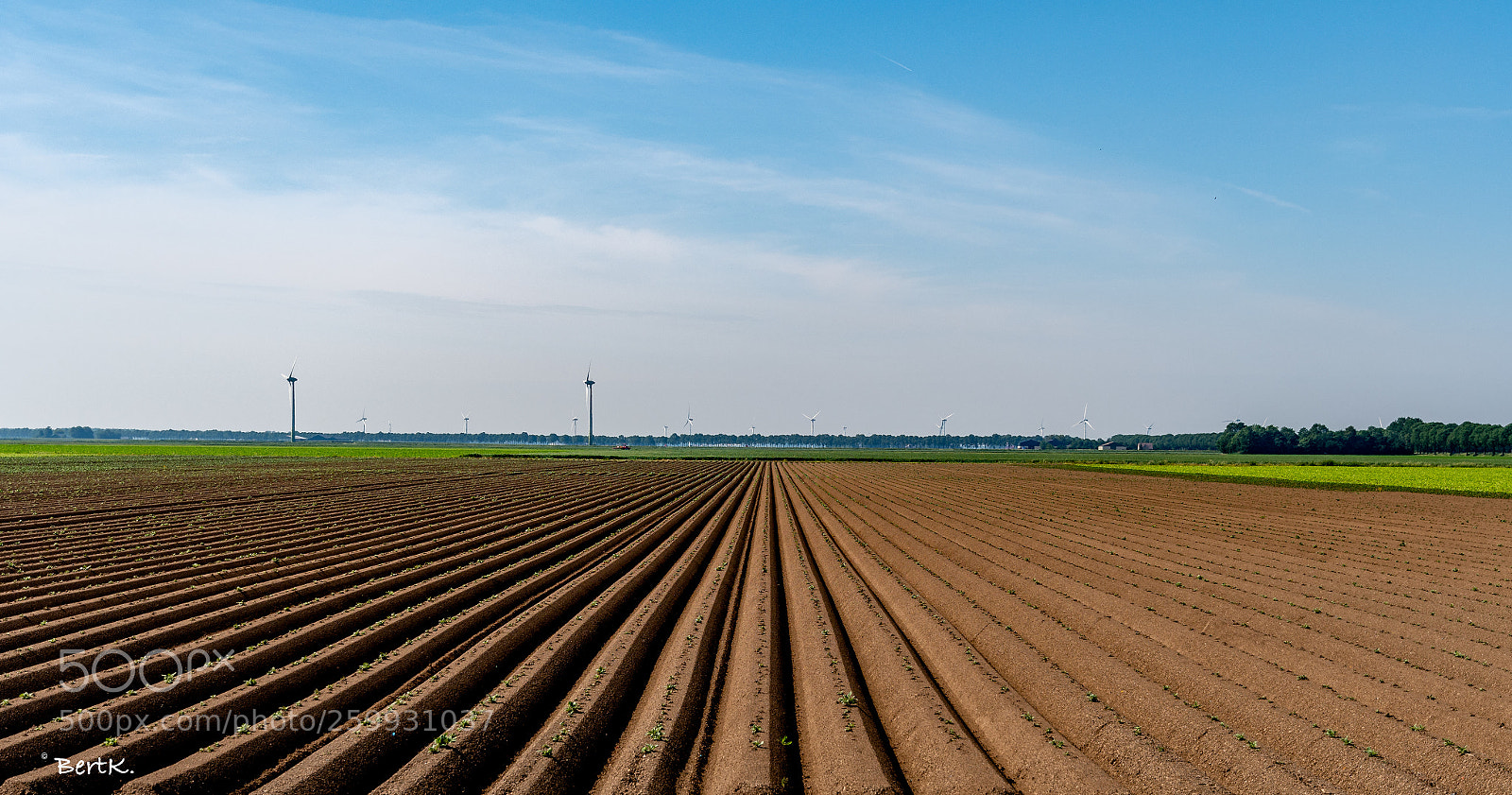 Nikon D500 sample photo. The potatoes are planted. photography