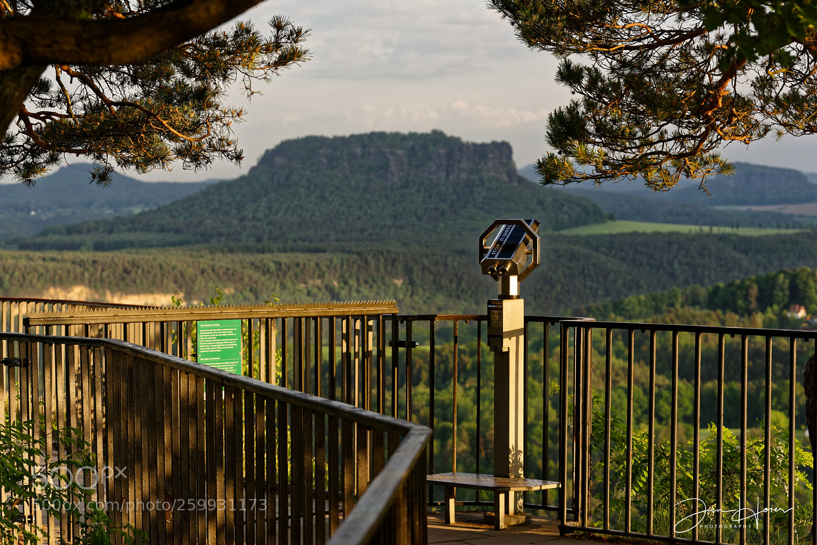 Nikon D810 sample photo. The observer ii photography