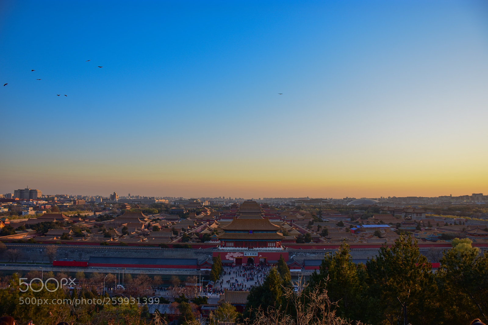 Nikon D7200 sample photo. Overview of the forbidden photography