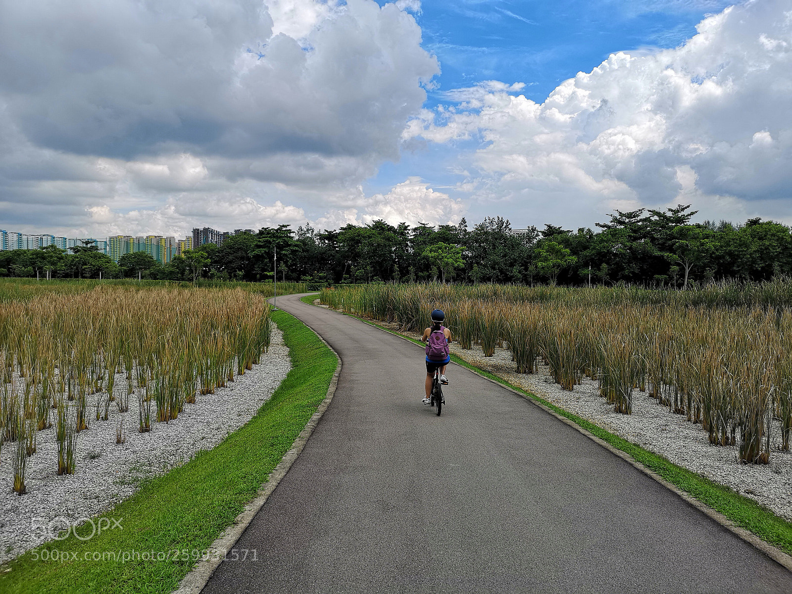 HUAWEI CLT-L29 sample photo. Journey photography