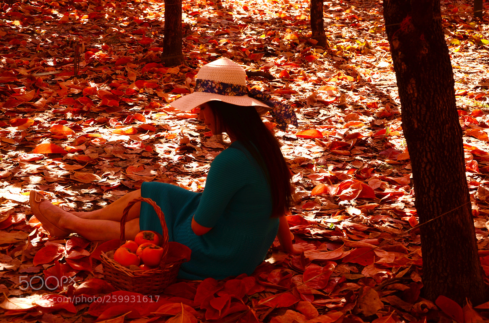 Nikon D7000 sample photo. Autumn photography