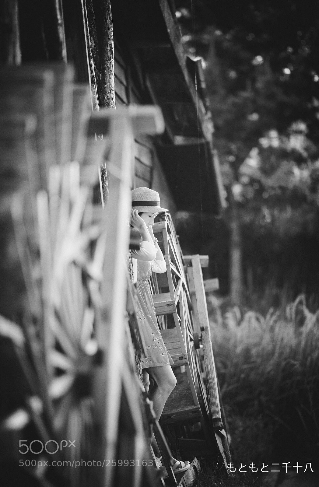 Canon EOS 5D Mark IV sample photo. Untitled photography