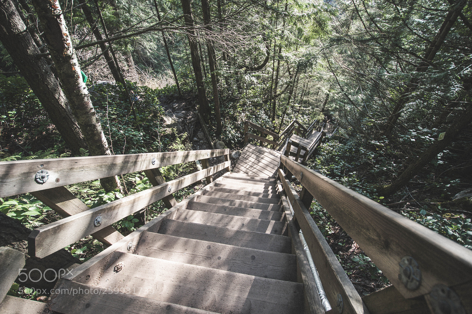 Nikon D5500 sample photo. Stairs to stawamus photography