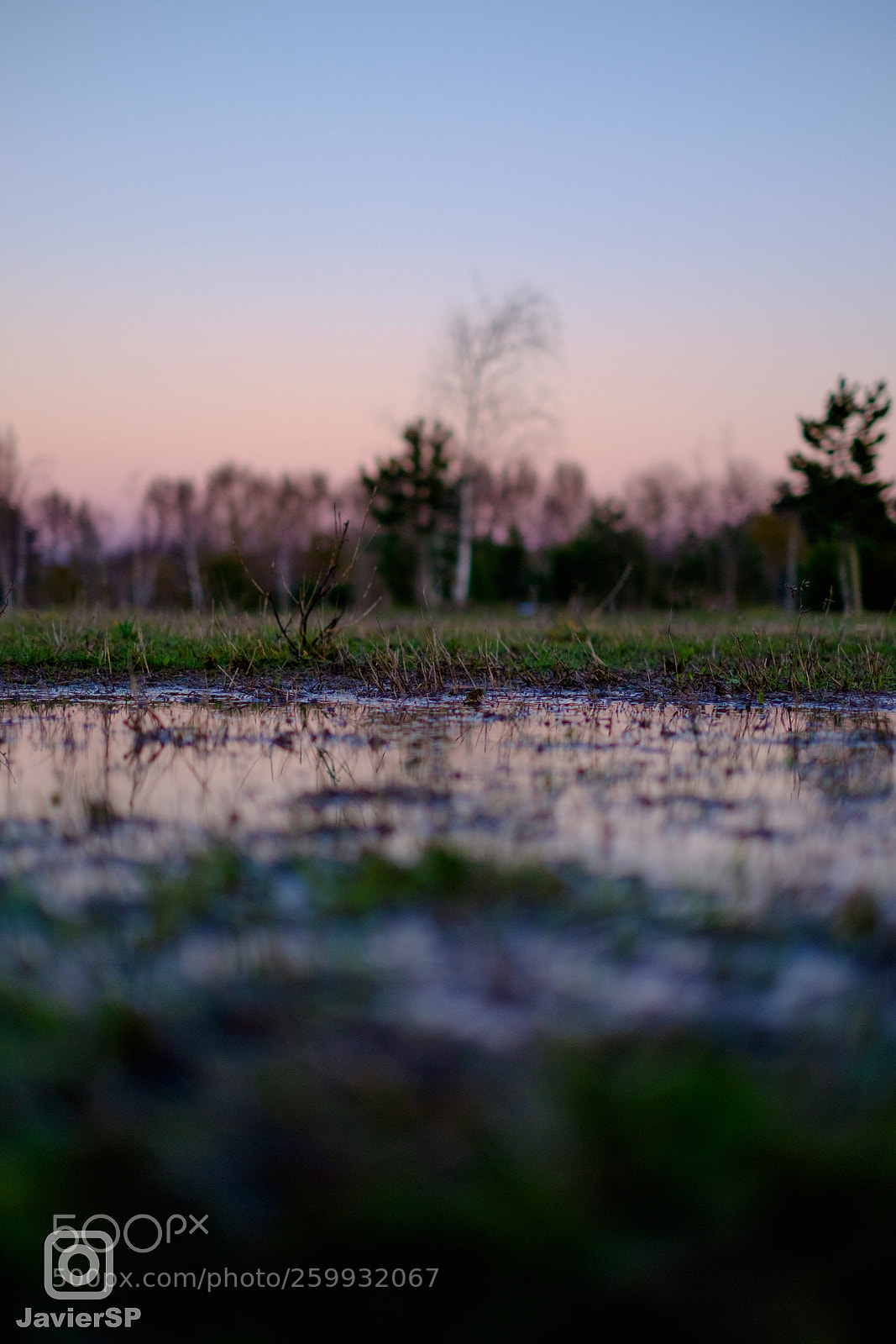 Fujifilm X-E2 sample photo. After the rain photography