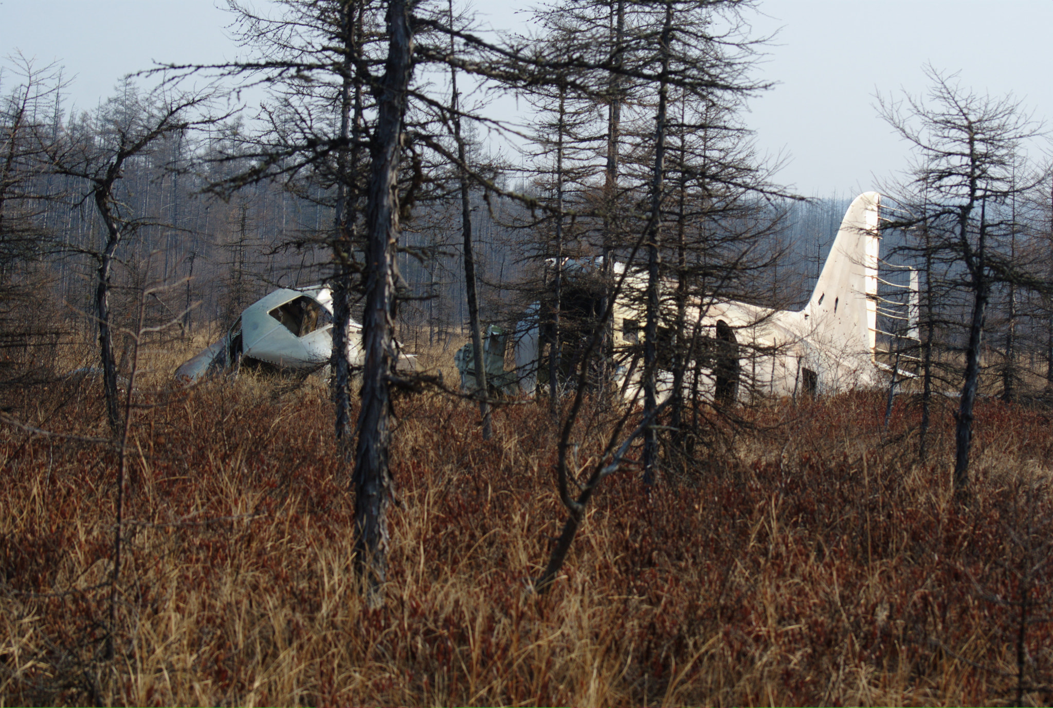 Sony 75-300mm F4.5-5.6 sample photo. Самолёт photography