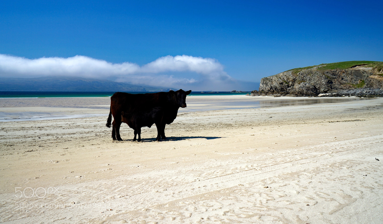 Sony a7 sample photo. Holy cow balnakeil, scottish photography