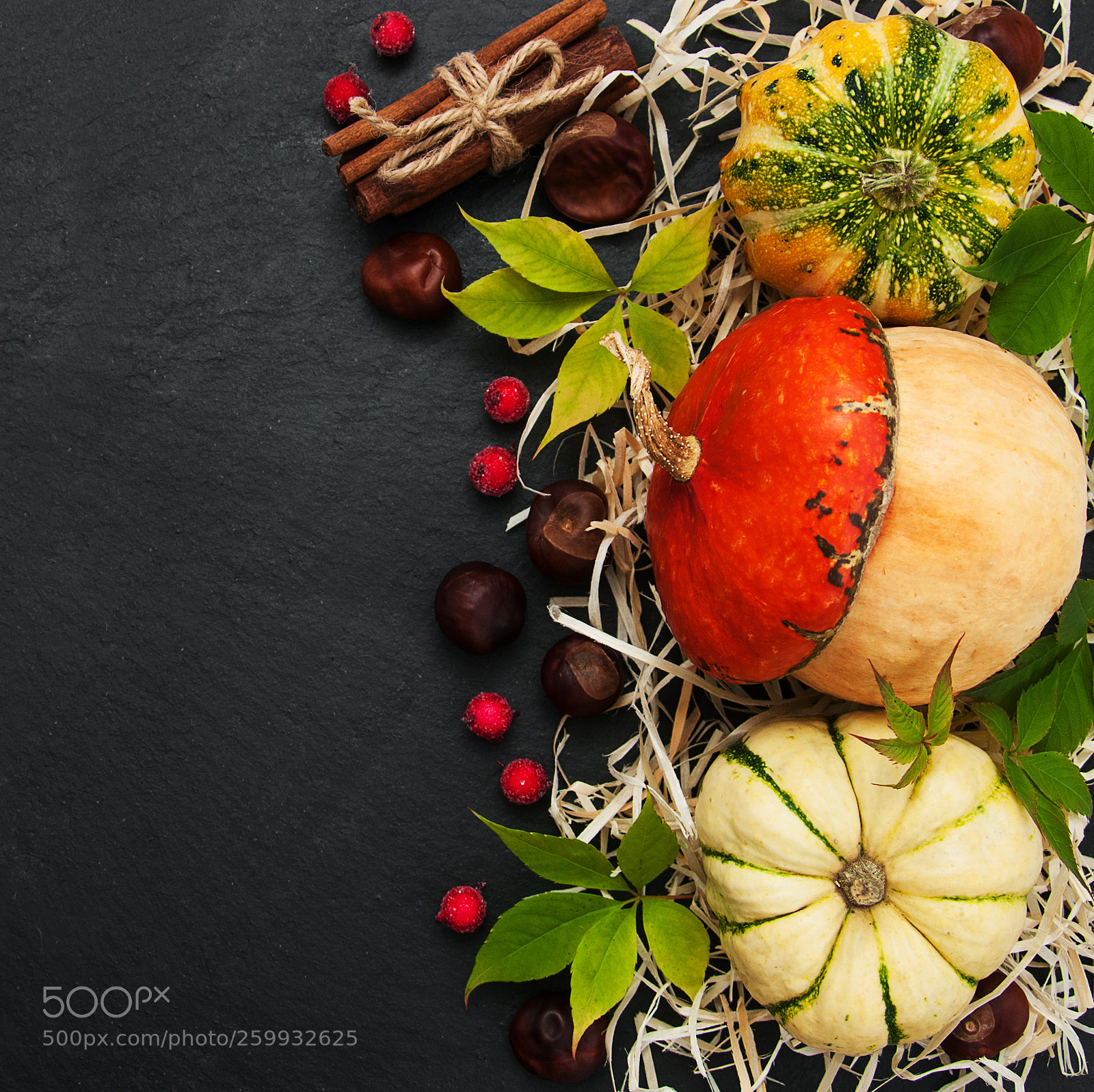 Nikon D90 sample photo. Pumpkins with autumn leaves photography