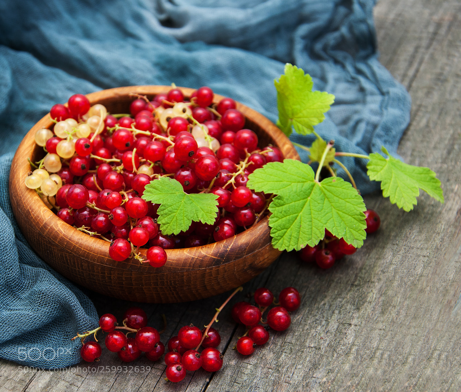 Nikon D90 sample photo. Bowl with red currant photography