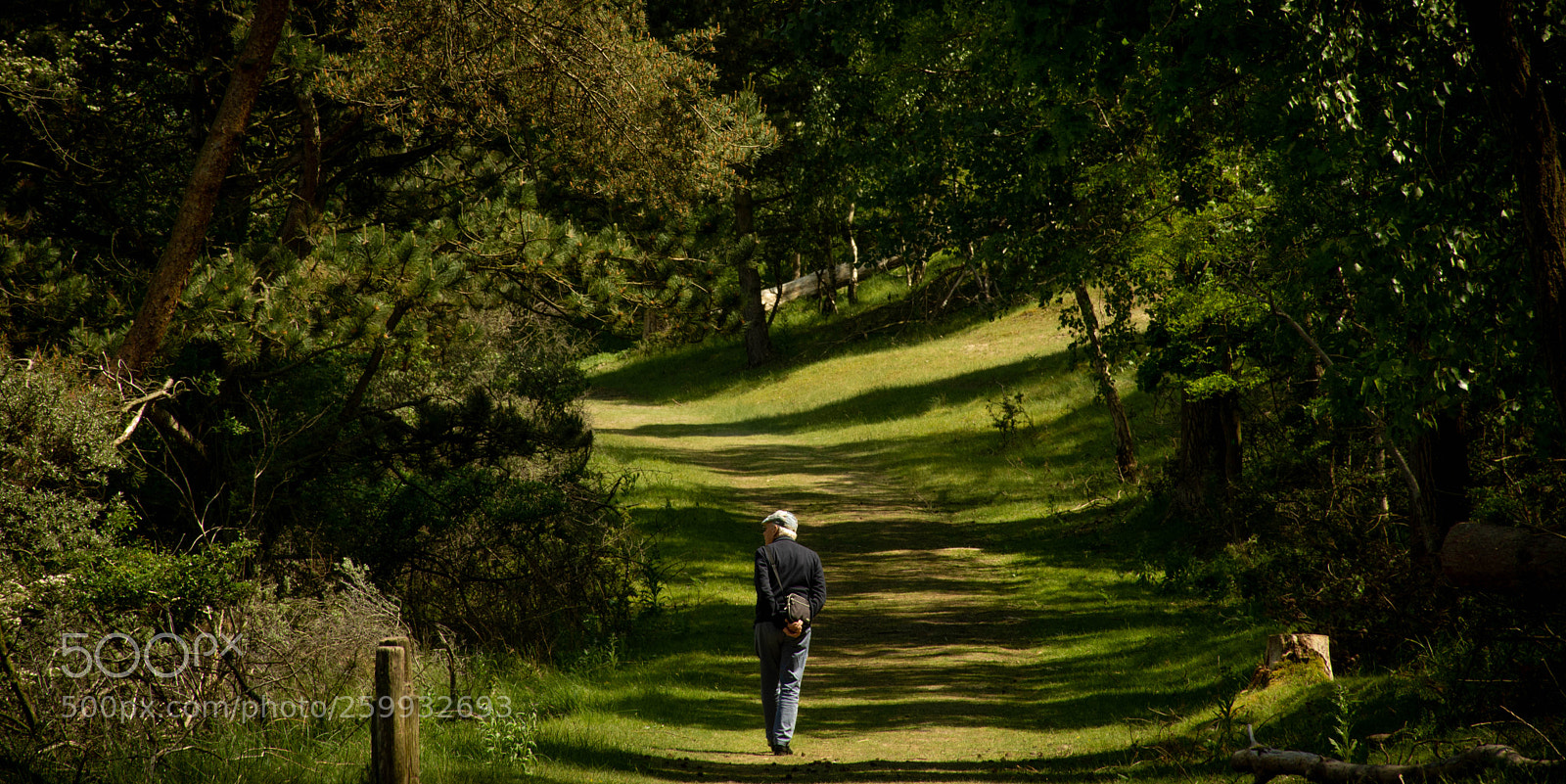 Nikon D7200 sample photo. The walk photography