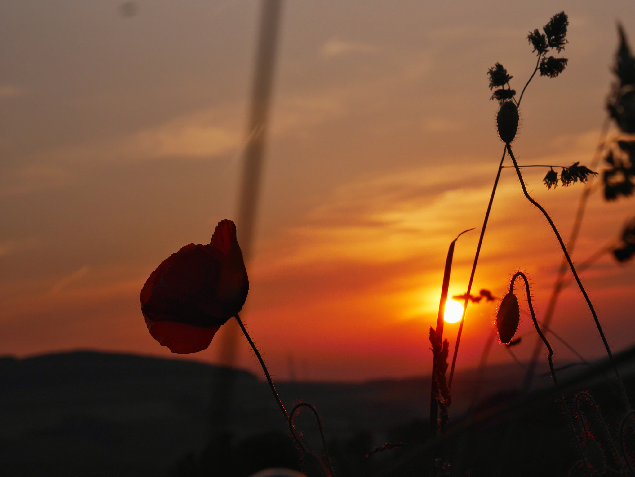 Panasonic Lumix DMC-GF7 sample photo. Sunset 2 photography