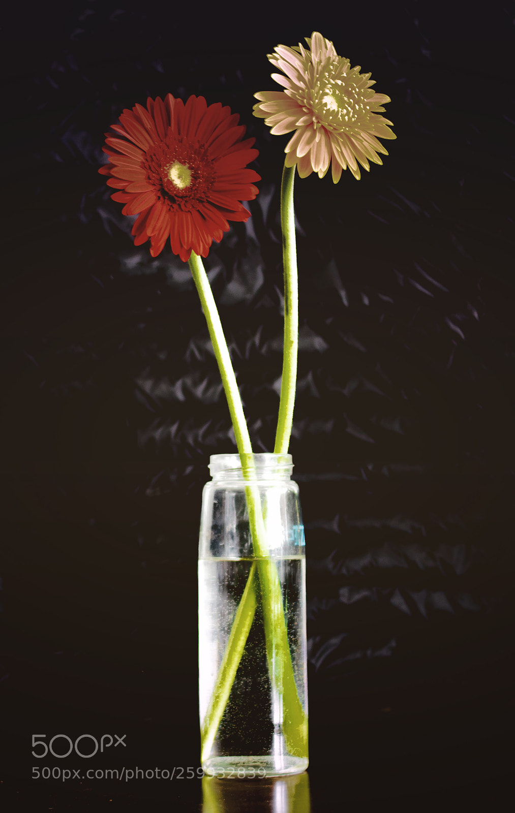 Nikon D5300 sample photo. Flower photography