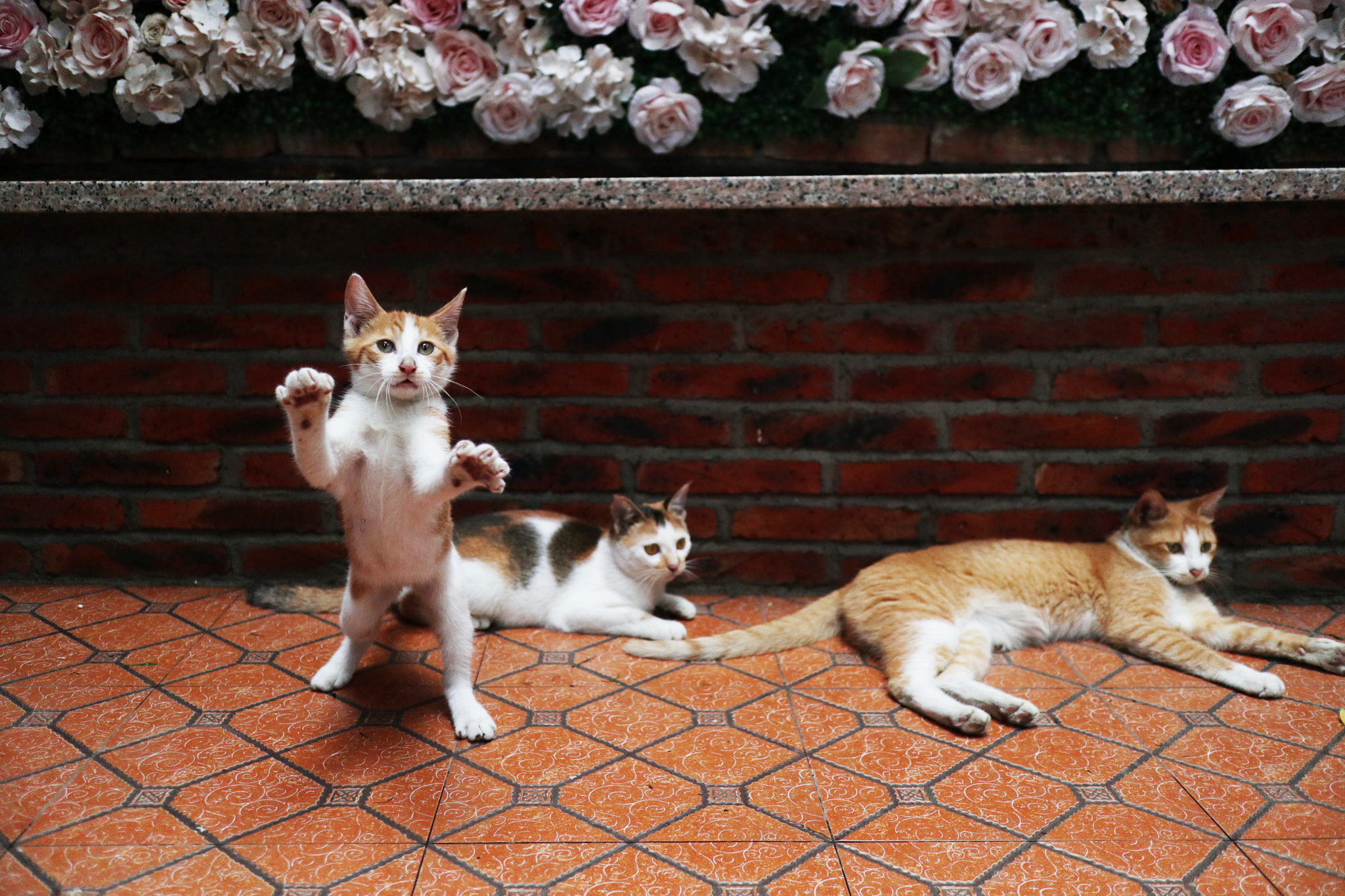 Canon EOS M100 sample photo. Img photography