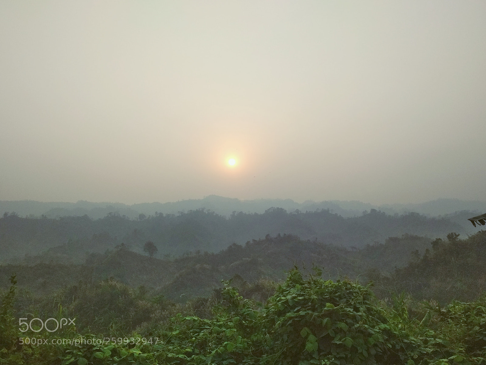 Xiaomi Redmi 4X sample photo. Untitled photography