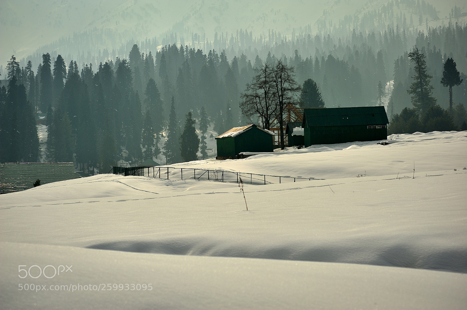 Nikon D700 sample photo. Himalaya photography