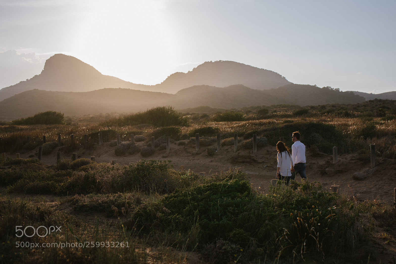 Nikon D750 sample photo. Walking in backlights photography