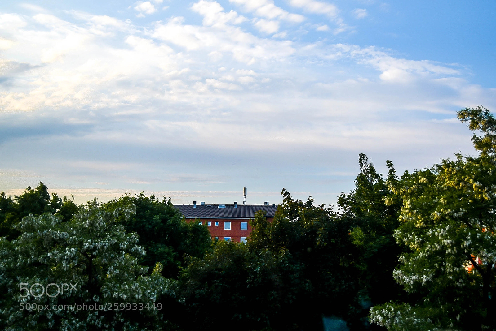 Nikon D750 sample photo. Summer view photography