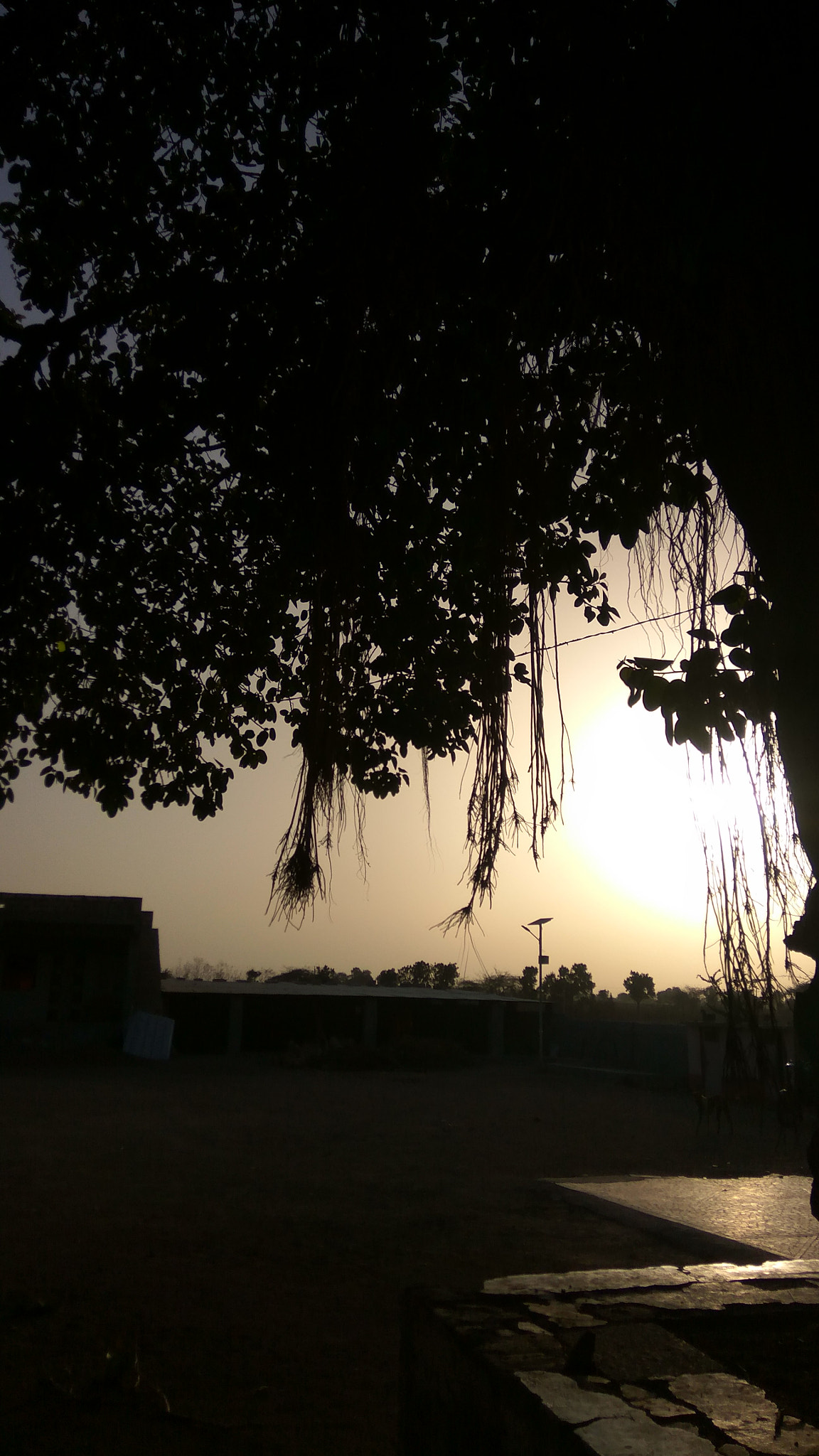 Xiaomi Redmi Note3 sample photo