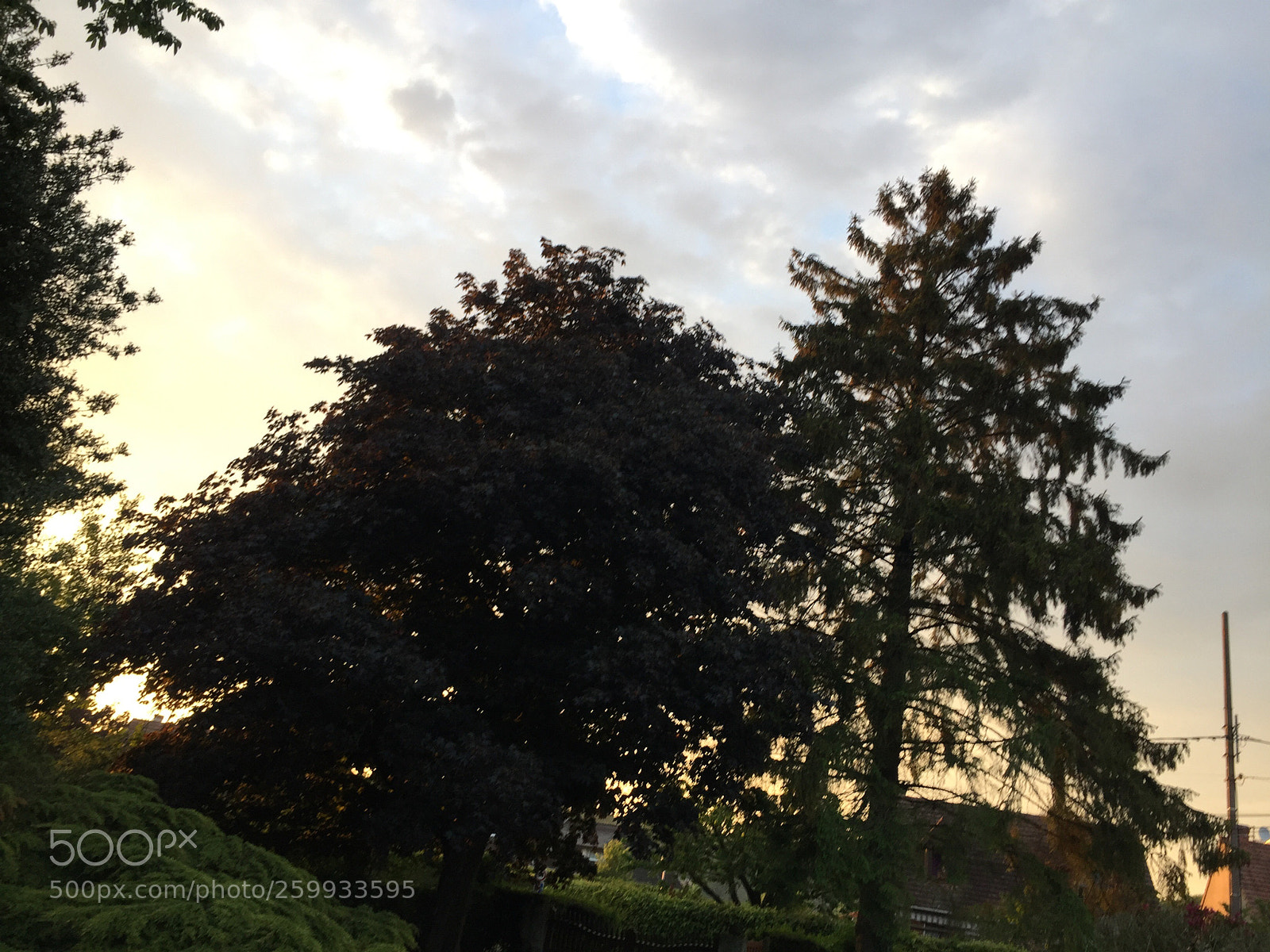 Apple iPhone 6 sample photo. #sundown #afterrain photography