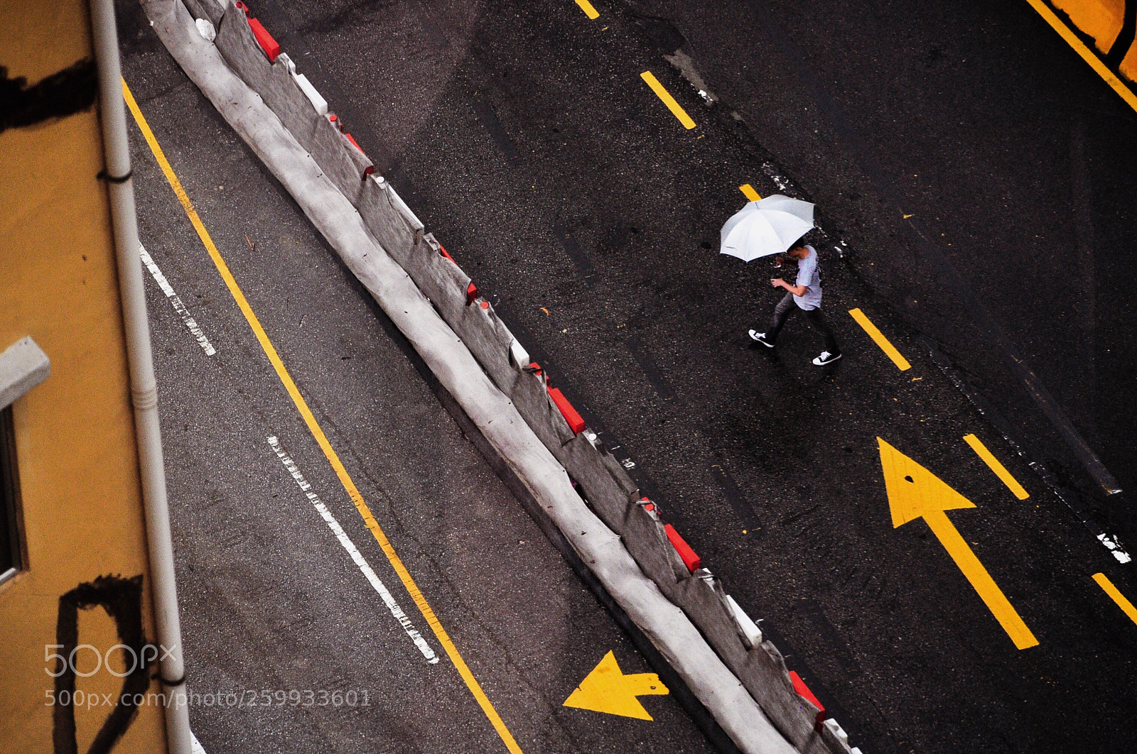 Nikon D5000 sample photo. Crossing photography