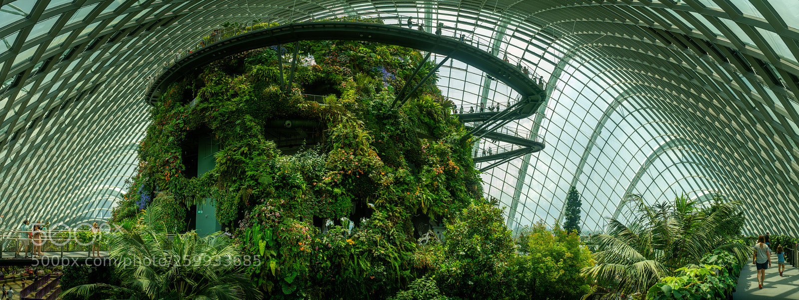 Sony a6300 sample photo. Cloud forest photography