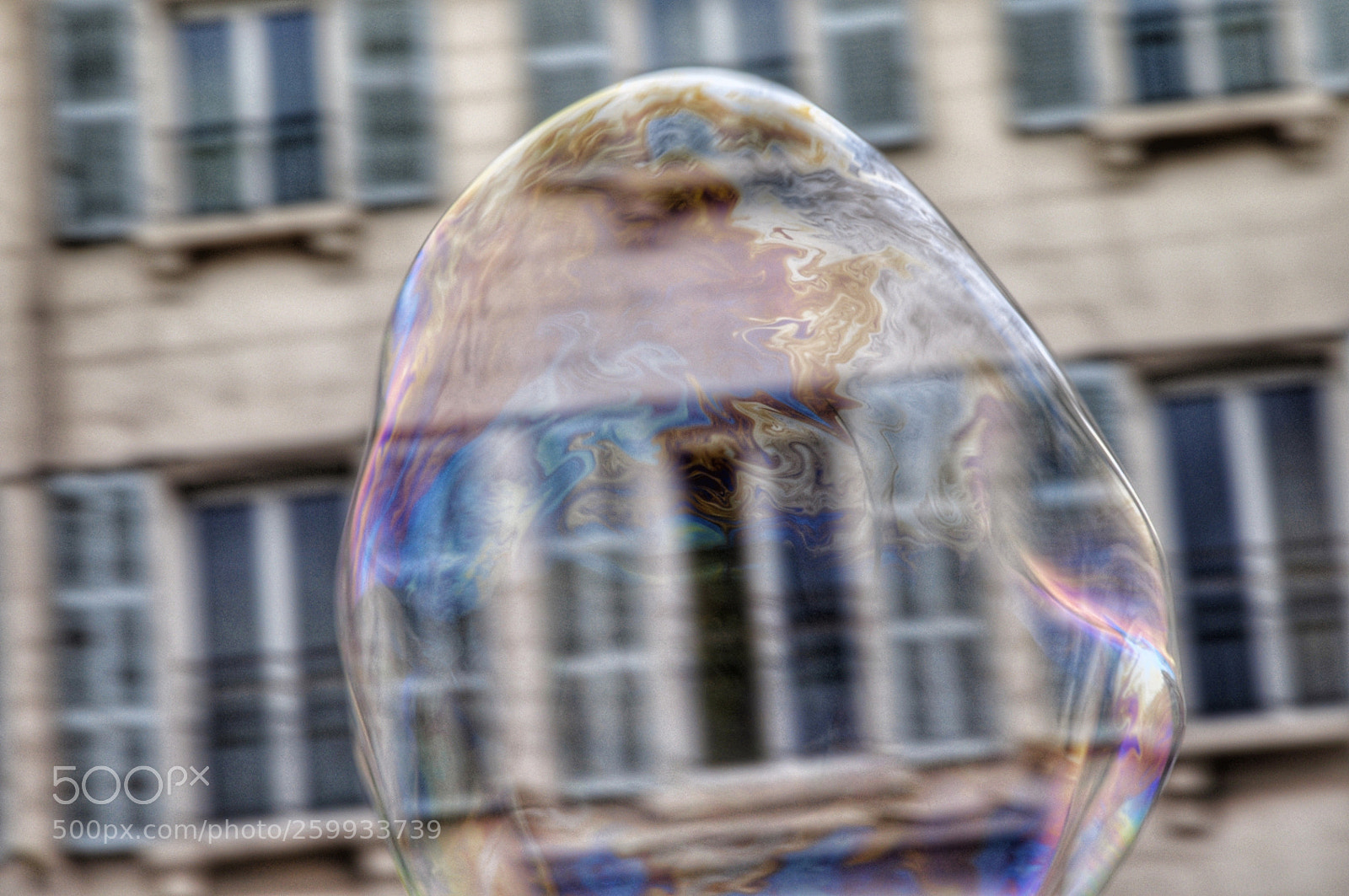 Nikon D5000 sample photo. Untitled photography