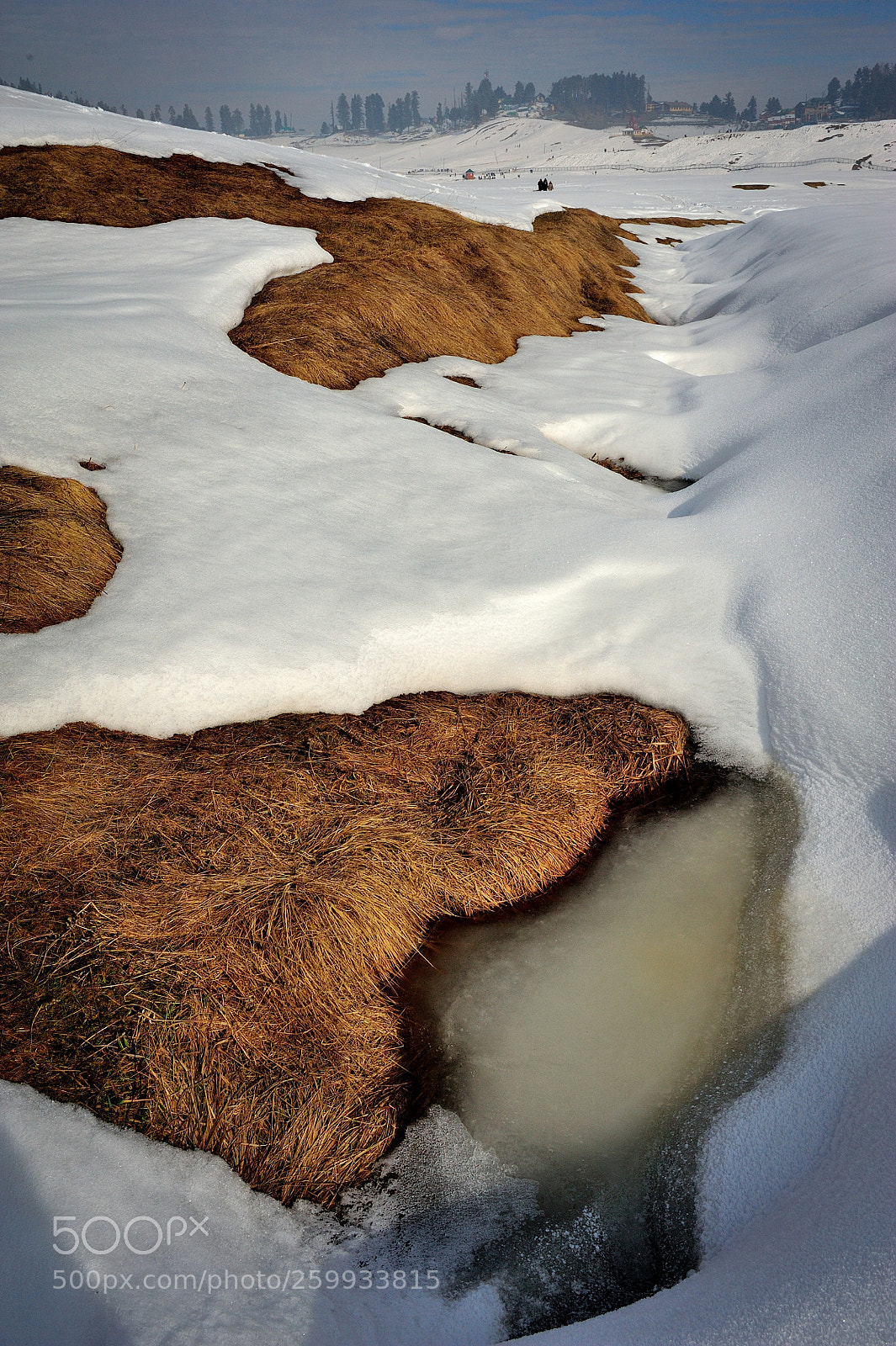 Nikon D700 sample photo. Snowcapped photography