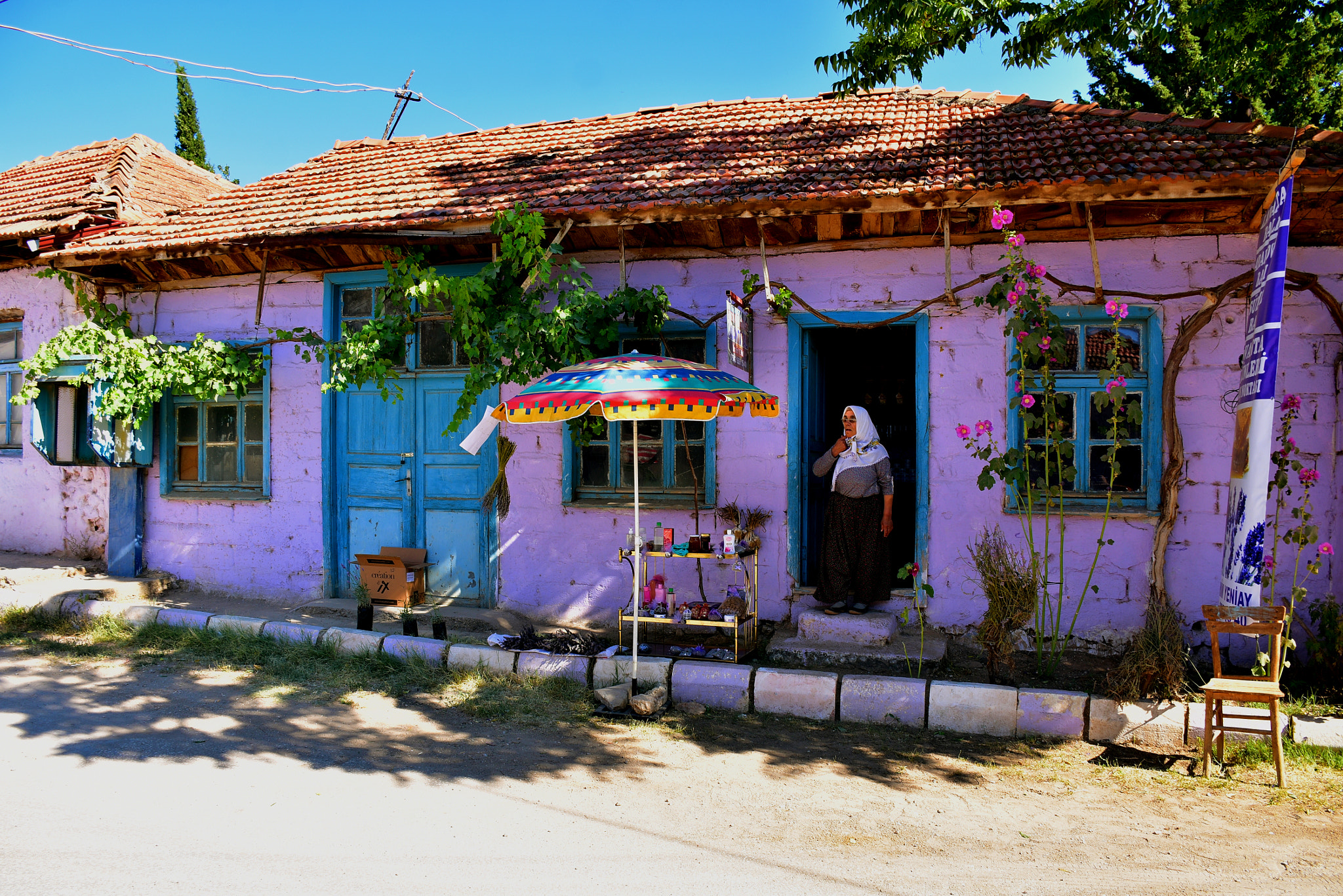 Nikon D7200 sample photo. Lavender village photography
