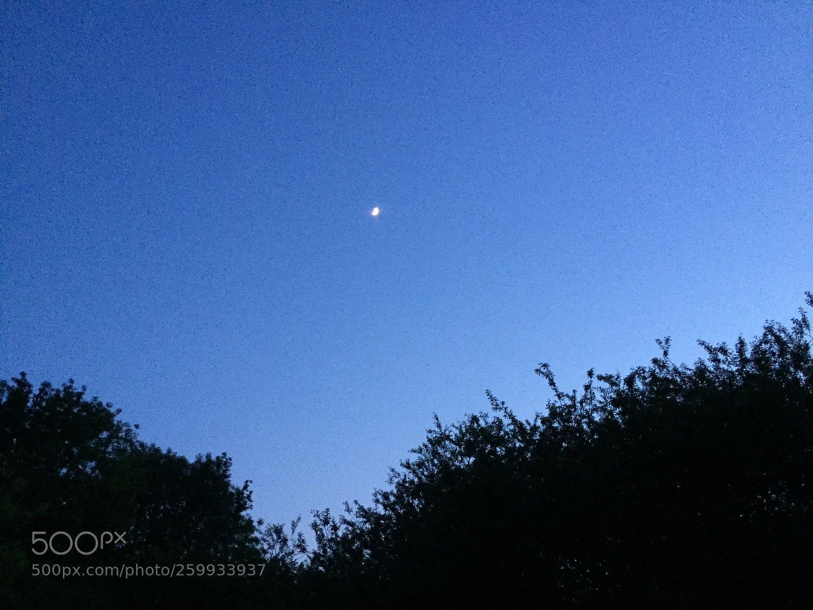 Apple iPhone 6 sample photo. #night #sky #moon  photography