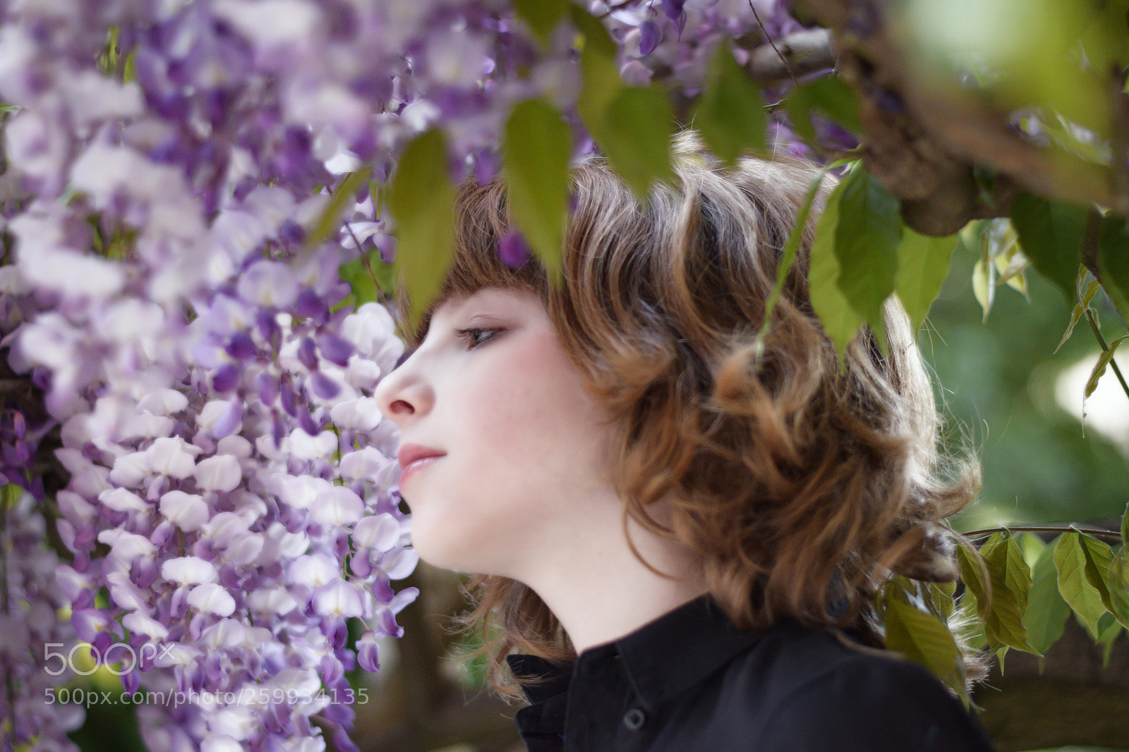 Nikon D5300 sample photo. Lilac dream photography