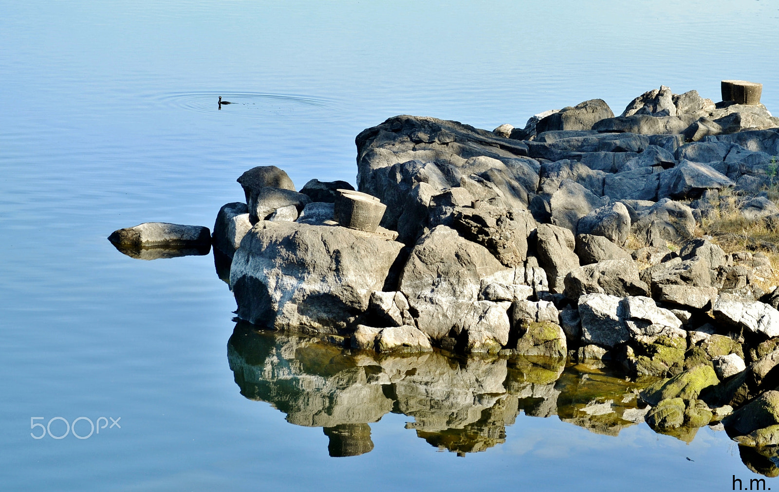 Nikon D3100 sample photo. Reflejo photography
