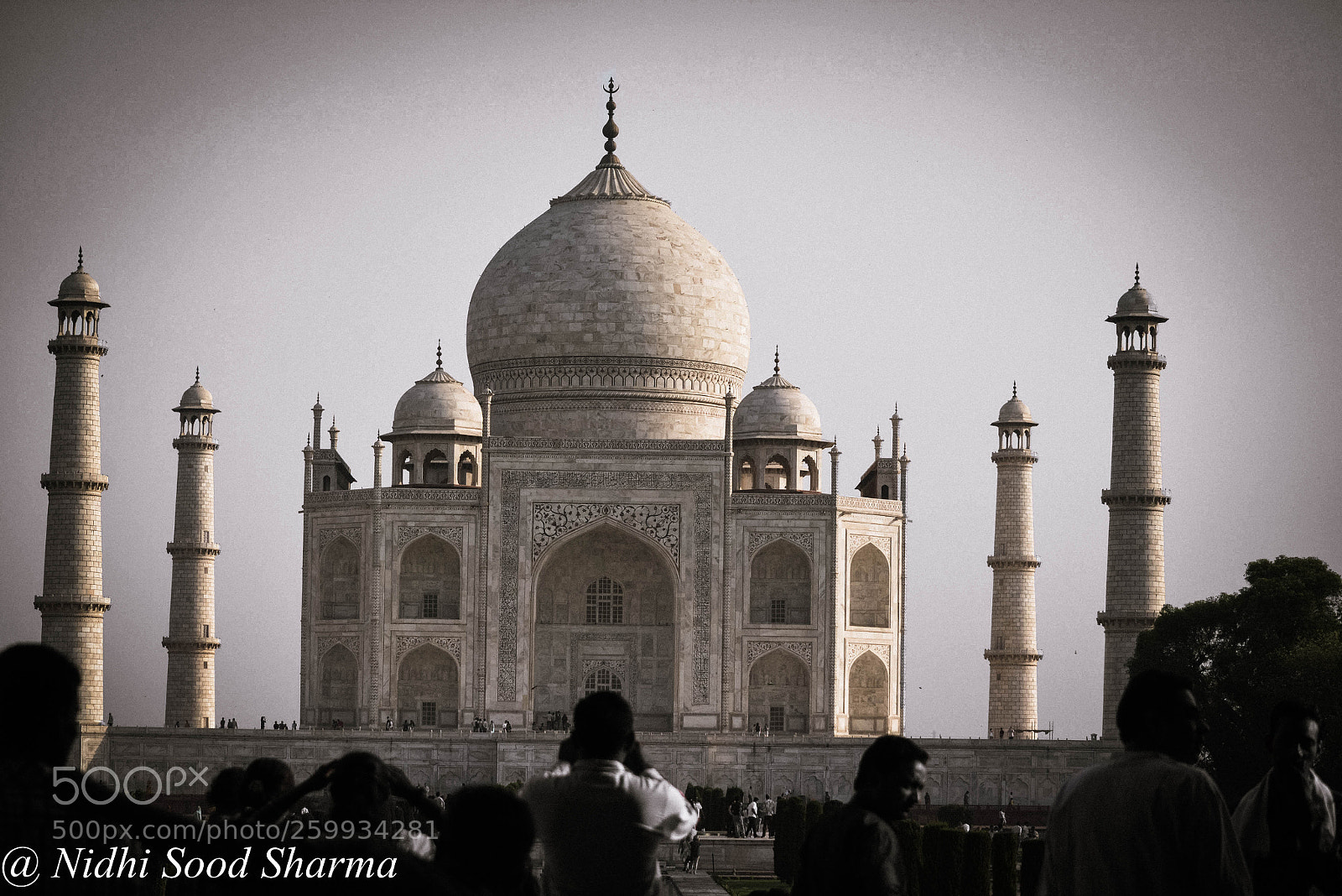 Nikon D5200 sample photo. Taj mahal photography