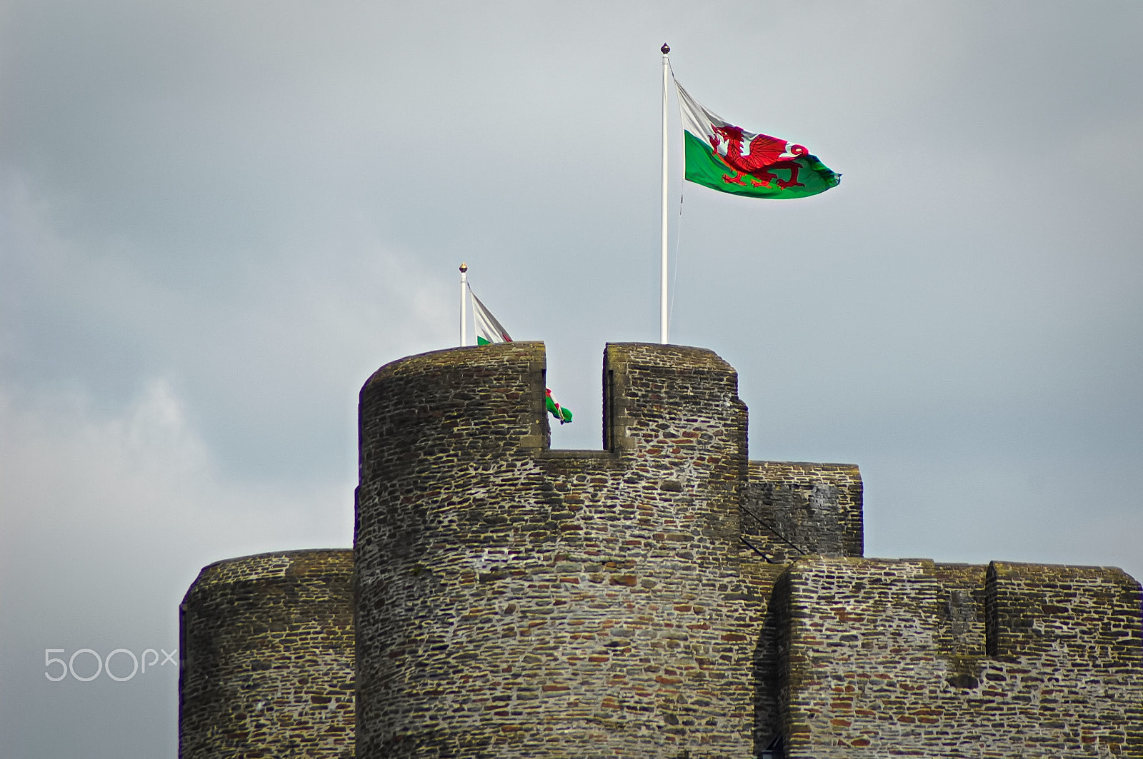 Nikon D2X sample photo. Welsh flag photography