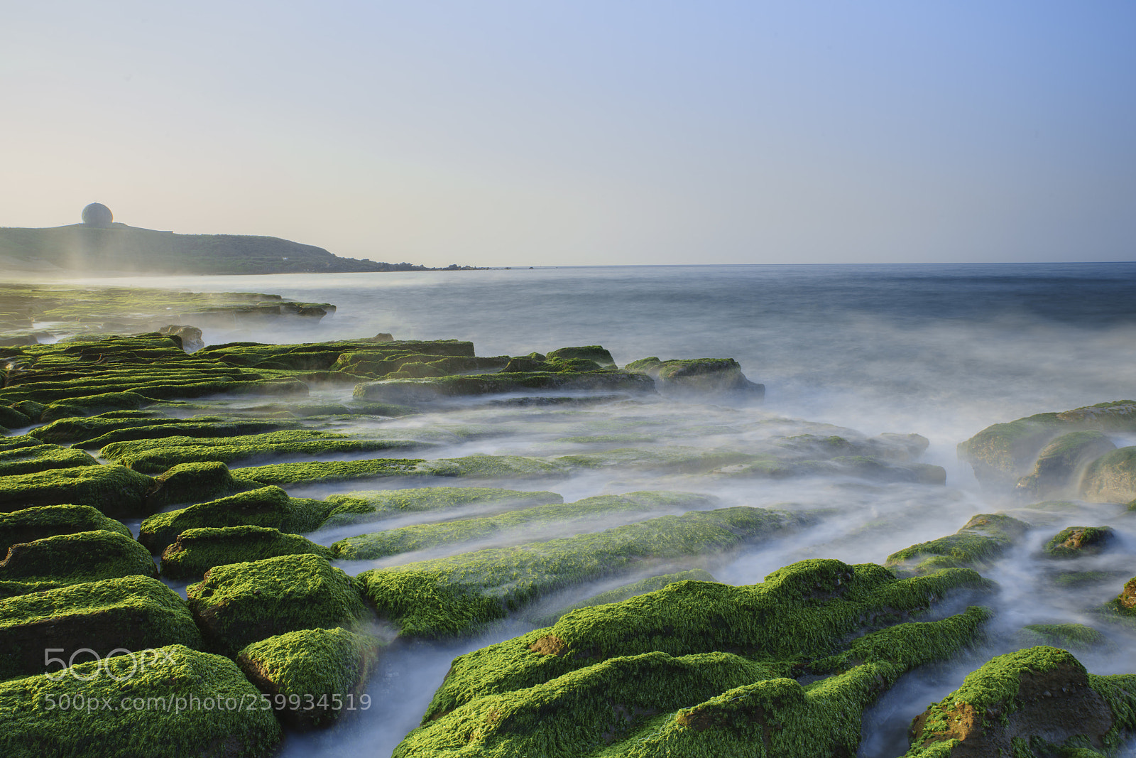 Sony a7R II sample photo. Green reef photography