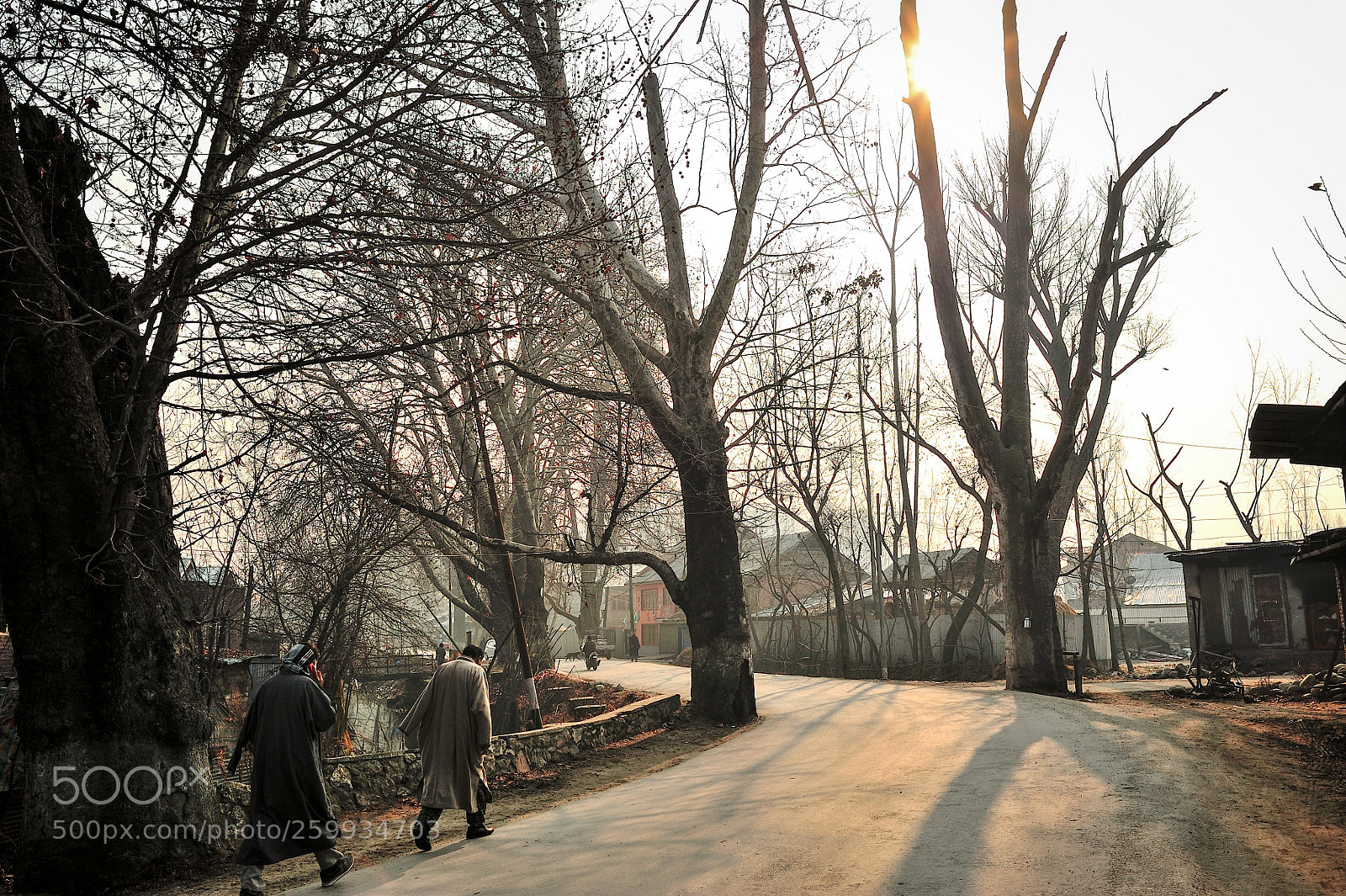 Nikon D700 sample photo. Winter photography