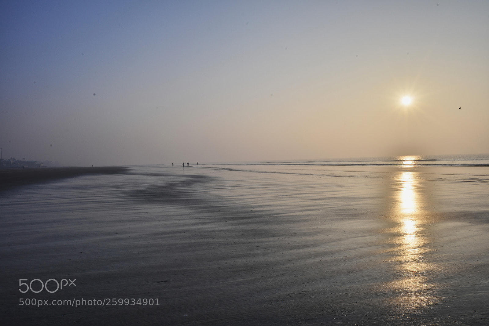 Nikon D800 sample photo. Sea photography