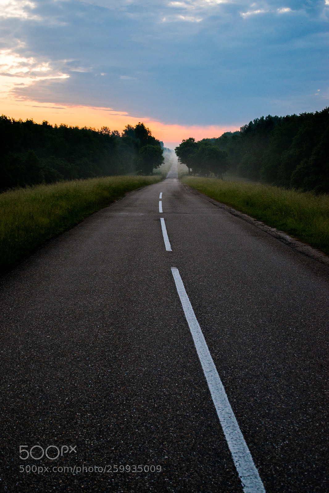 Nikon D5500 sample photo. Road to nowhere photography