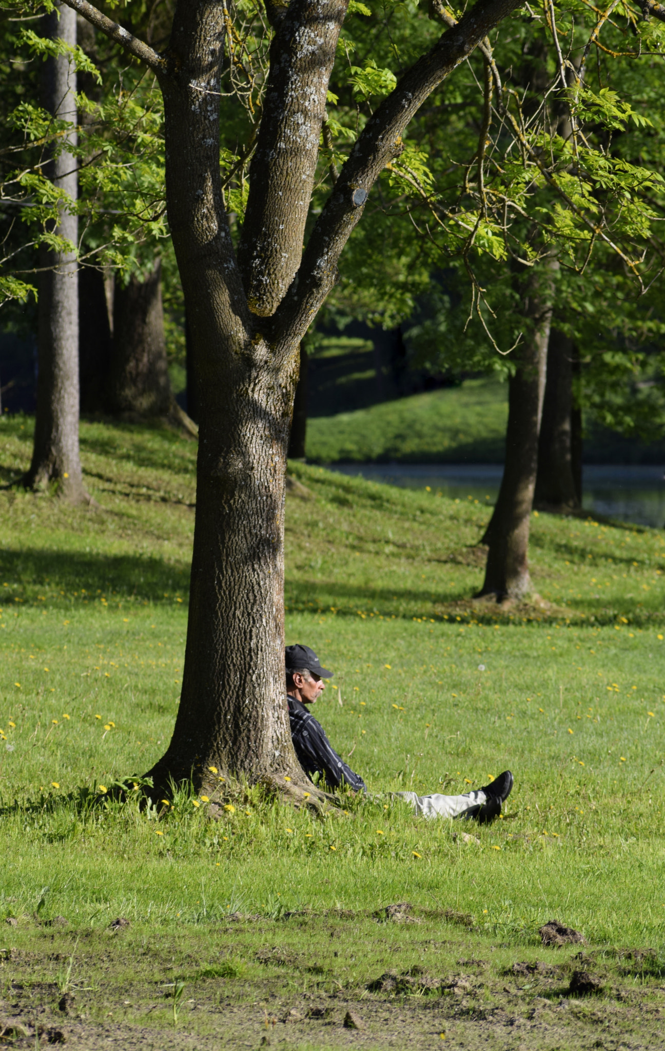 Sigma 70-300mm F4-5.6 APO DG Macro sample photo. Одинокий человек | lonely man photography