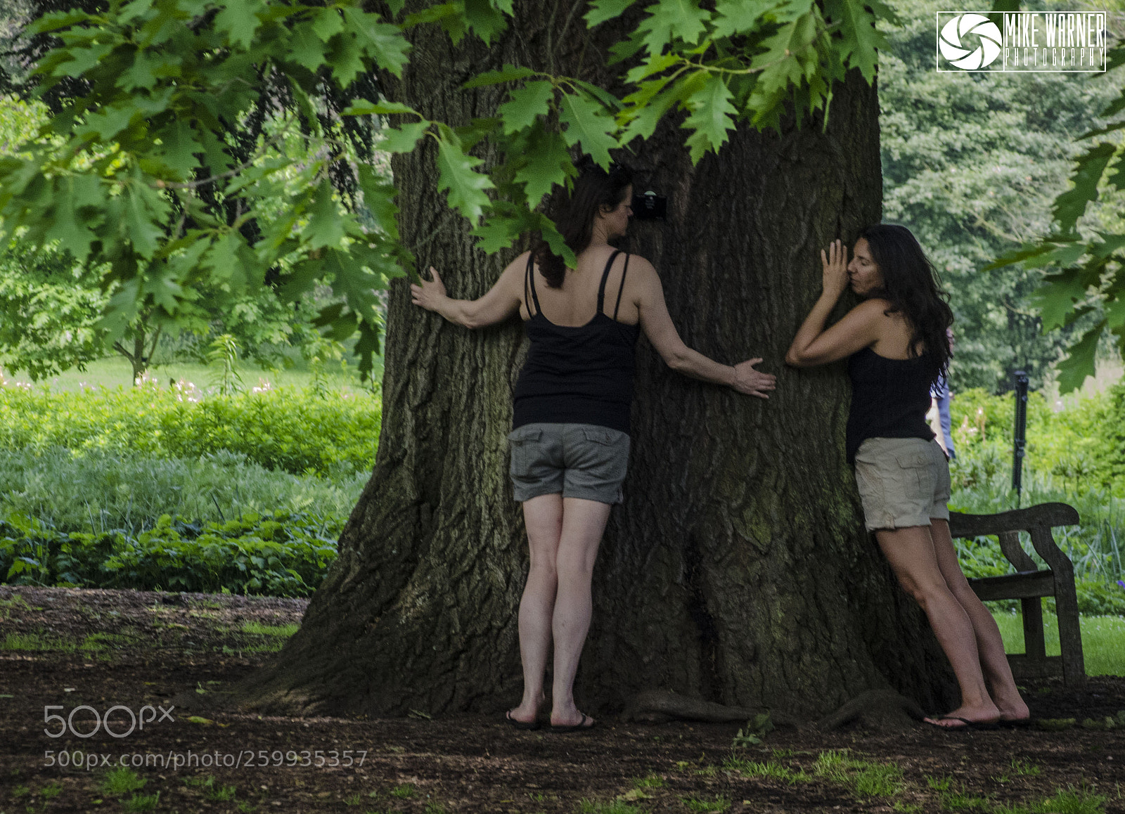 Nikon D7000 sample photo. Kew may 28th 2018 photography