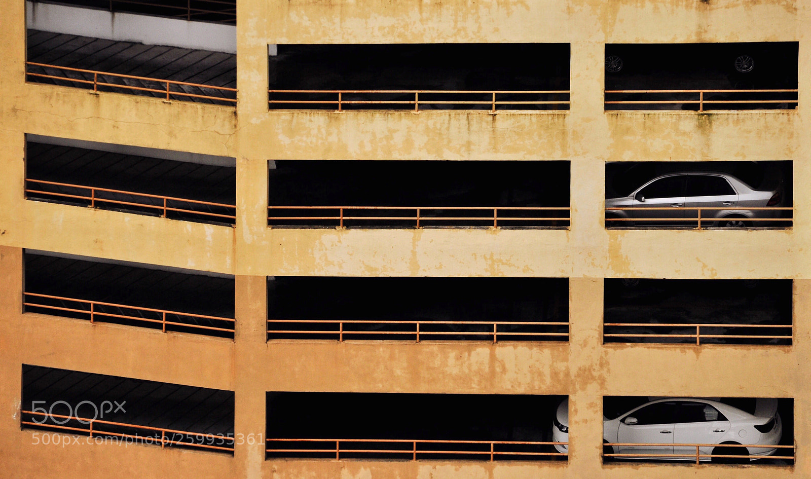 Nikon D5000 sample photo. Layered  photography