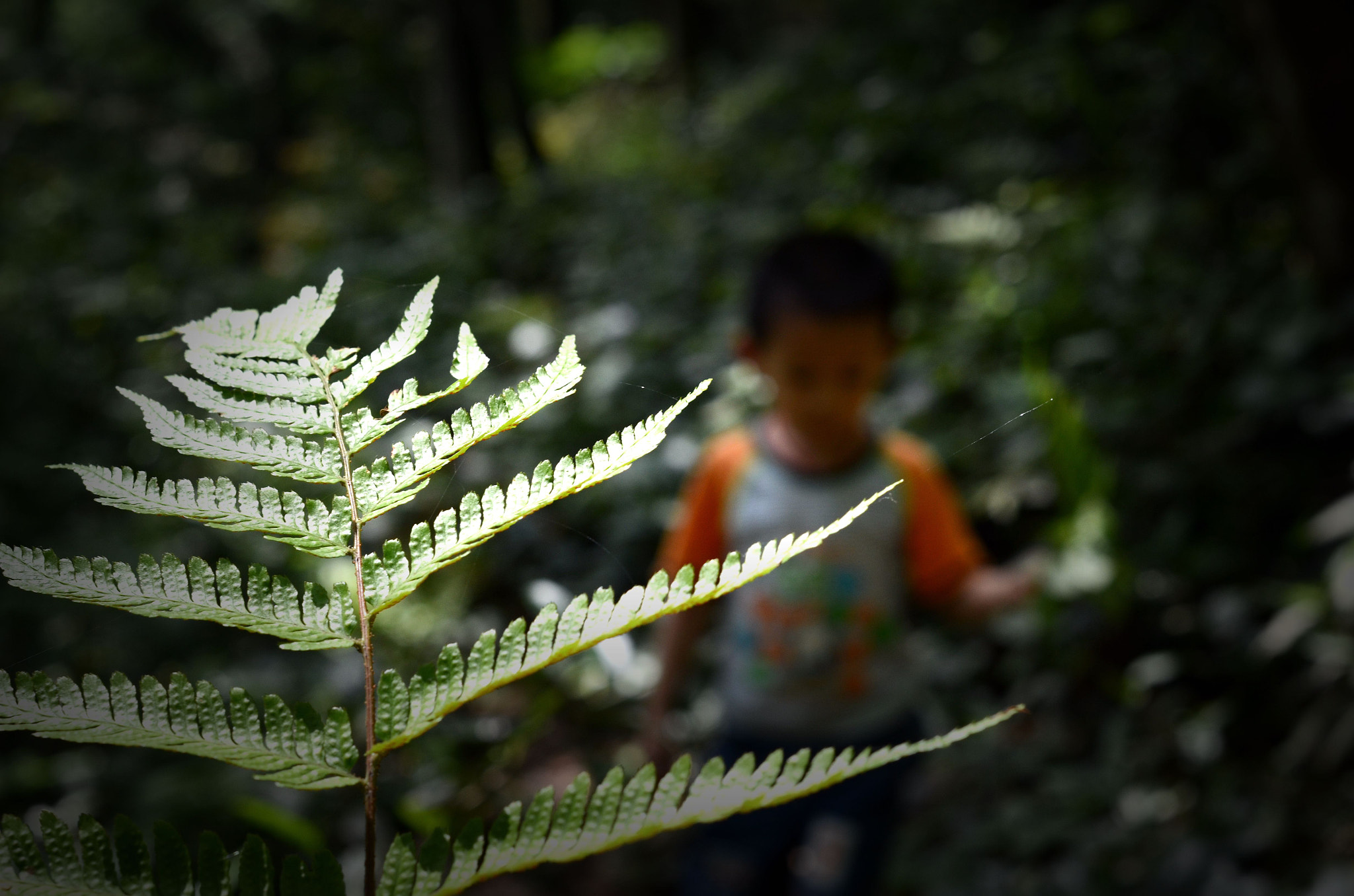 Nikon D7000 sample photo. 寻真 photography