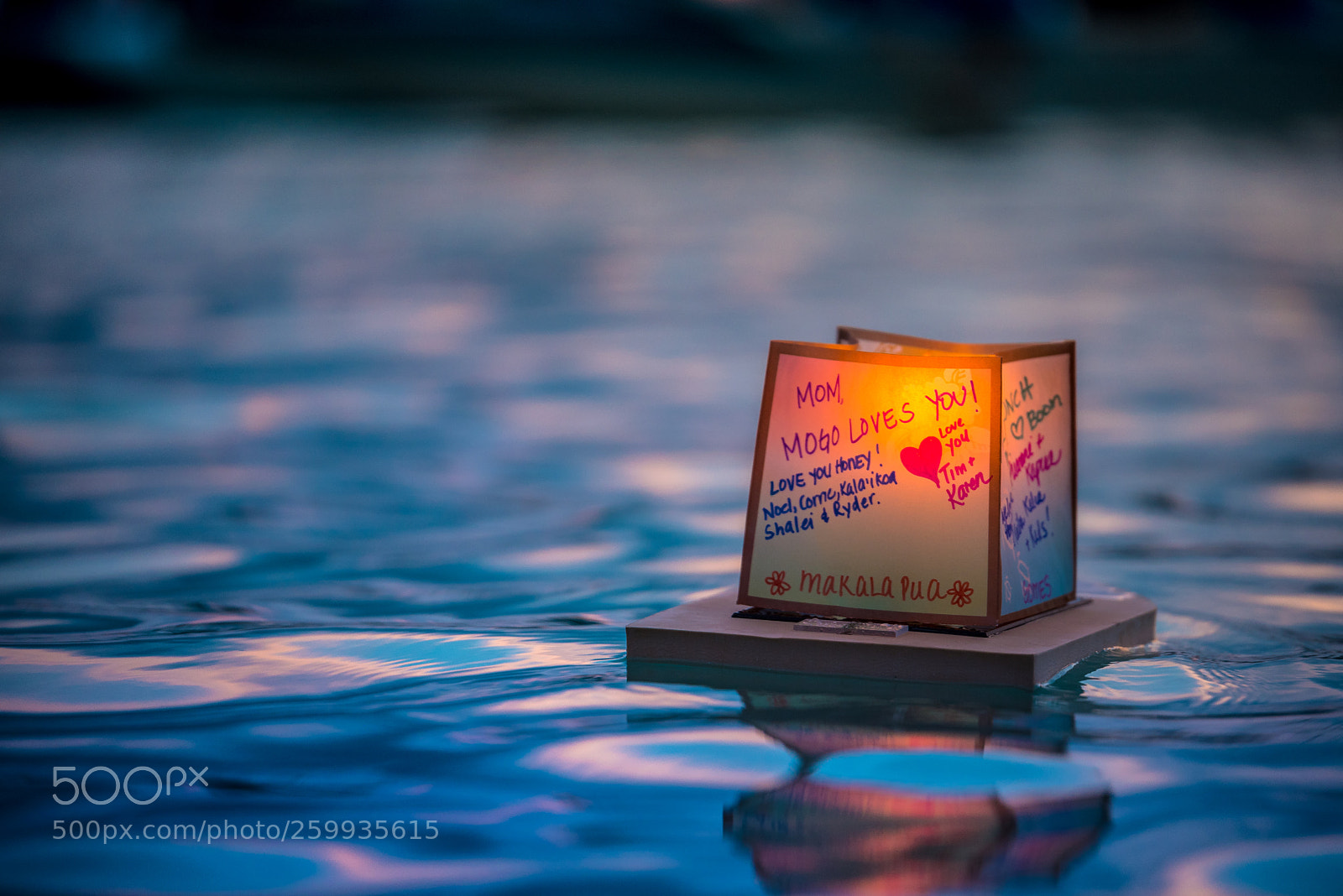 Nikon D750 sample photo. Memorial lantern photography