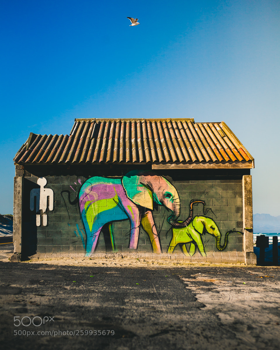 Canon EOS 5D sample photo. Img photography