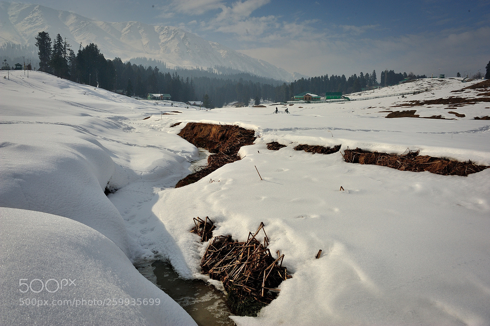 Nikon D700 sample photo. Snow photography
