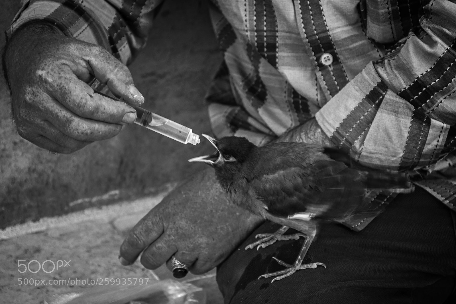 Nikon D7200 sample photo. Untitled photography