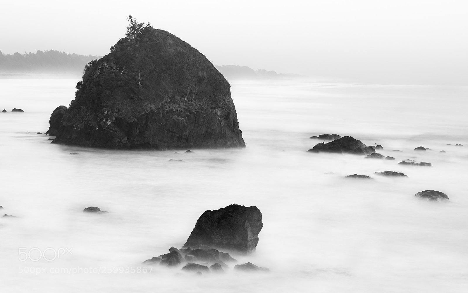 Canon EOS 6D Mark II sample photo. Pacific coast at trinidad photography