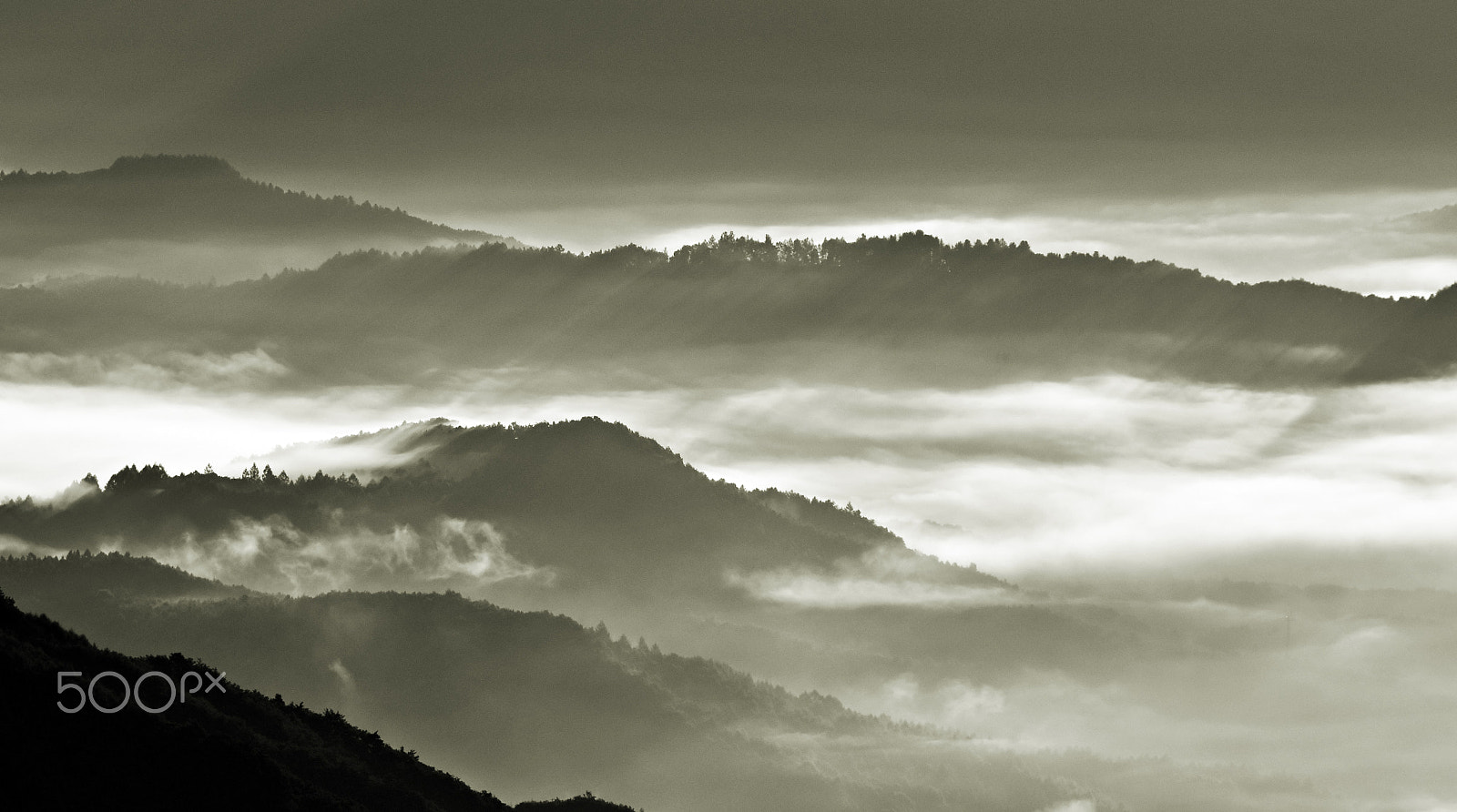 Nikon D810 sample photo. Sea of clouds photography