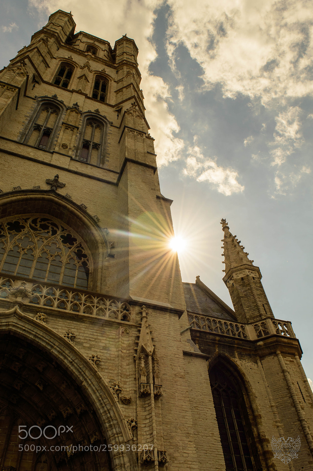 Nikon D3200 sample photo. Divinity photography
